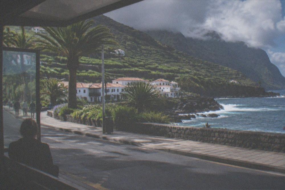 A bus stop near a seafront promenade with gardens and palms