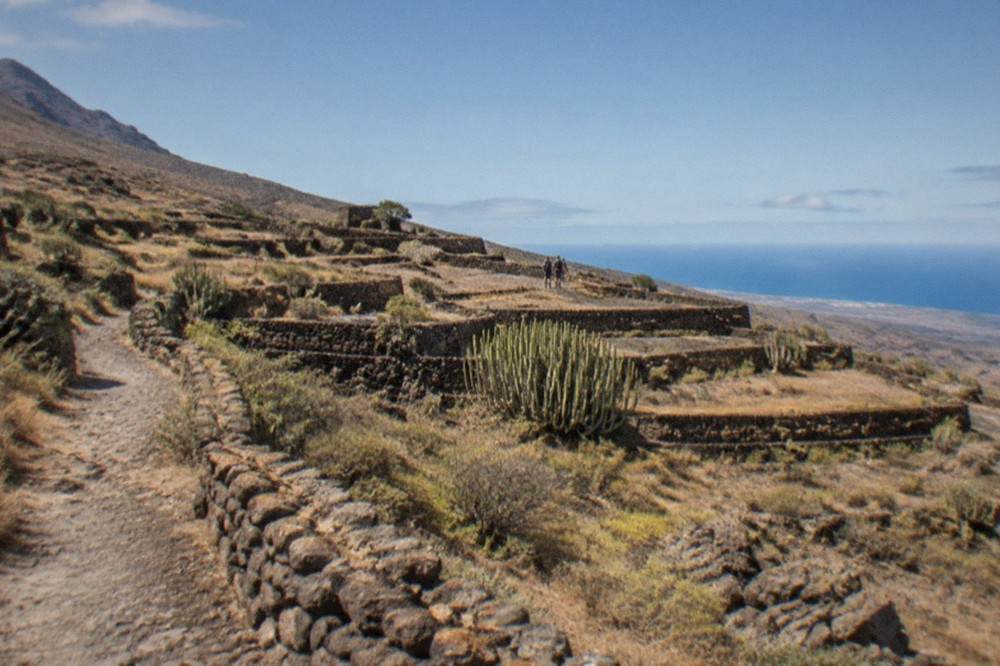 Dry stone walls forming rectangular terraces on a hillside