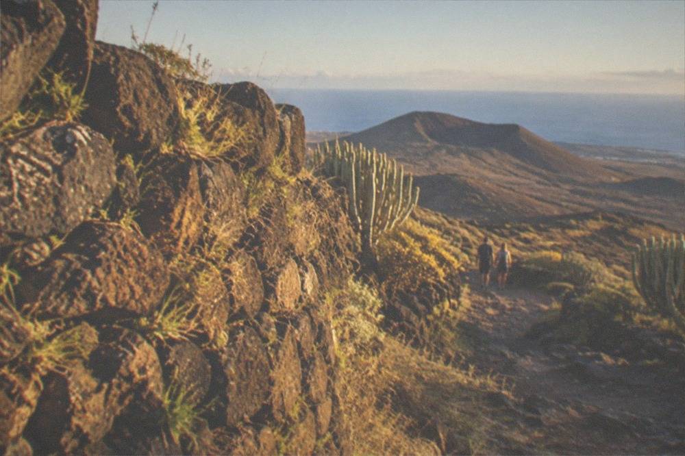 Volcanic stone walls seen at close range with grass growing between the blocks