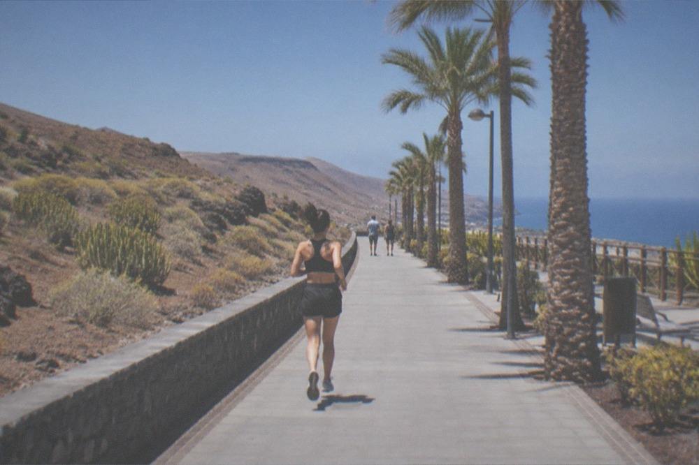 A seafront promenade with palm trees along Tenerife's east coast