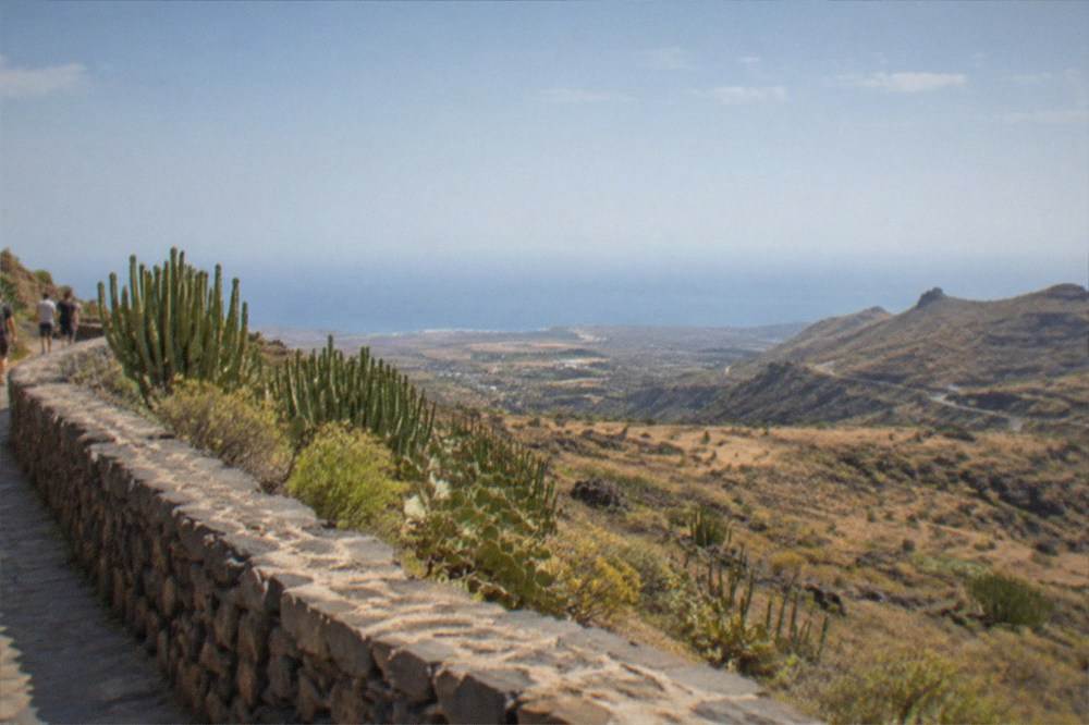 A stone terrace wall stretching along a slope with cactus plants nearby