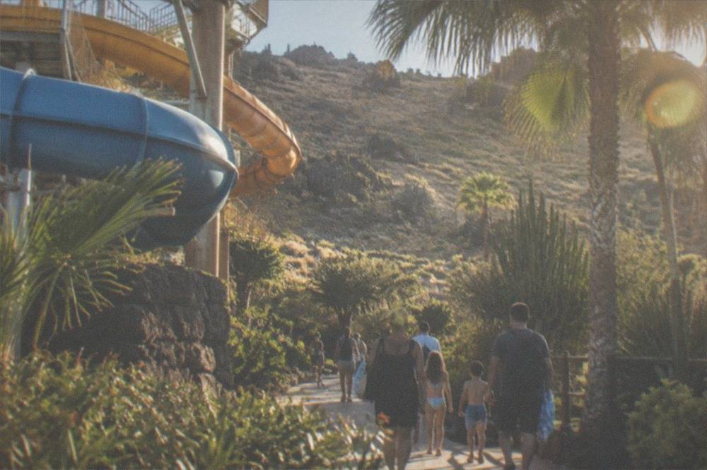 Families walking along a path between water slides and tropical planting