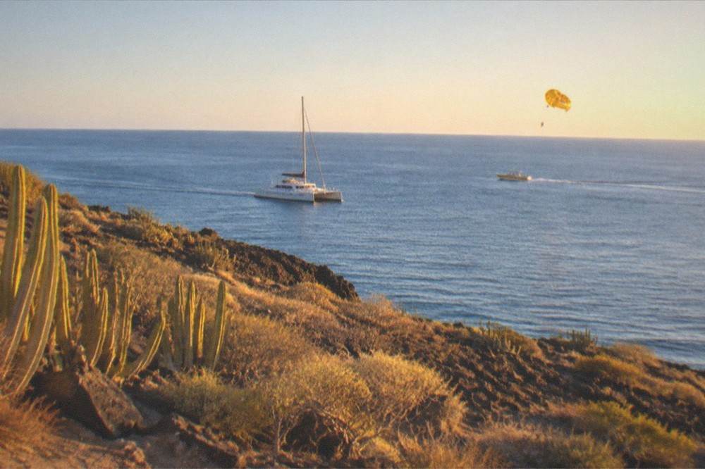 A catamaran and parasail boat on calm blue water off the Tenerife south coast