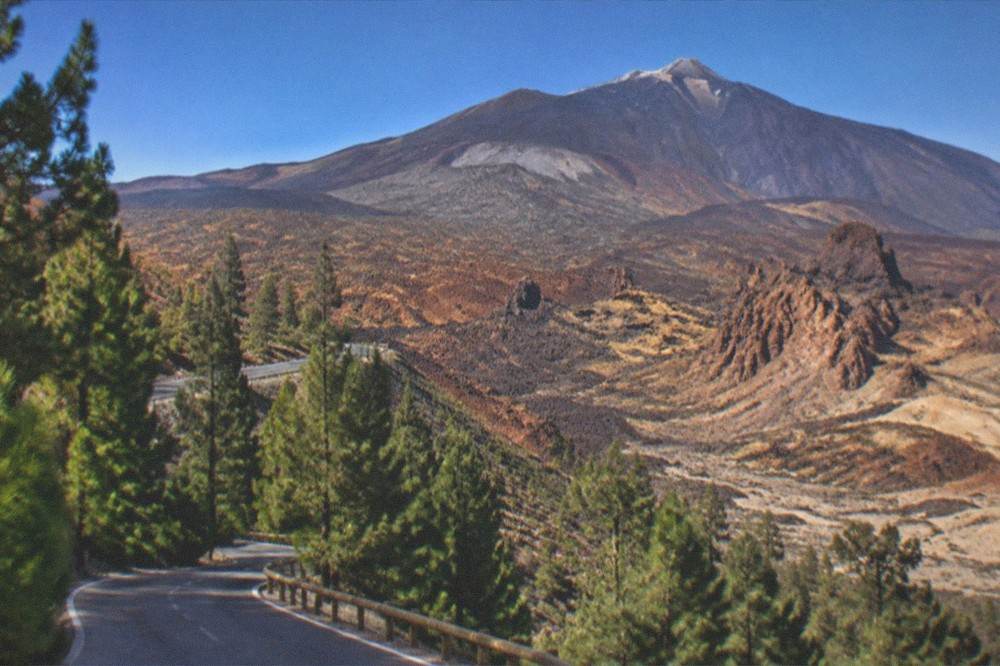 A road winding up through pine forest towards the volcanic slopes of Teide National Park