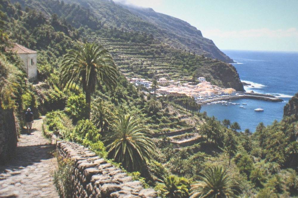 Steep terraced slopes and palm groves in a La Gomera ravine