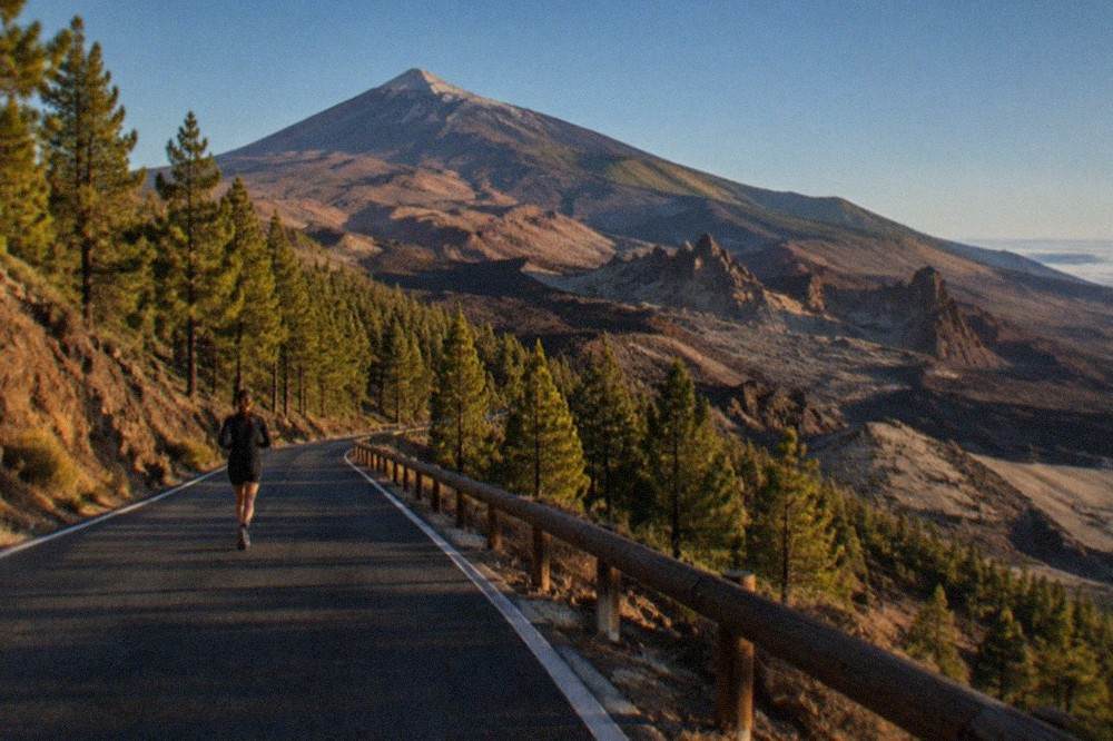 A winding mountain road climbing through pine forest towards Teide National Park