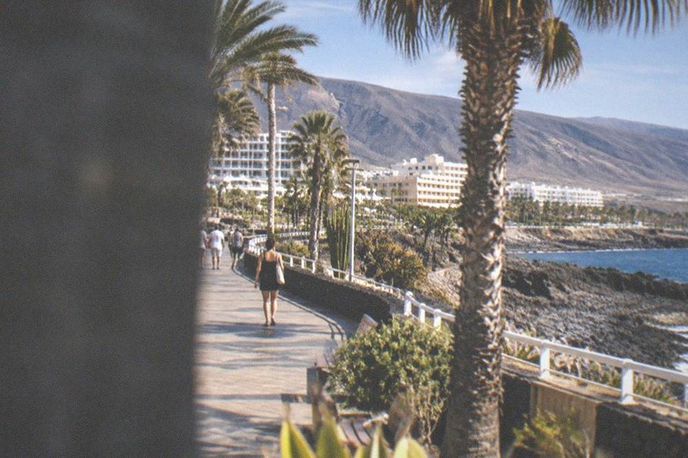 A promenade lined with palm trees in a resort town with hotels in the background