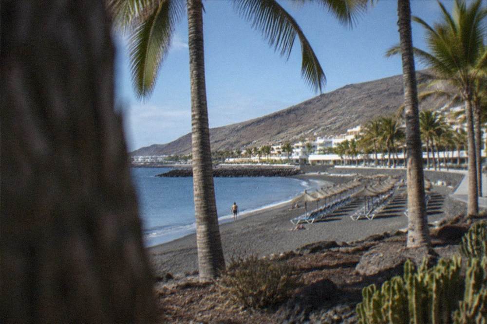 A sandy beach with calm water and sunbeds under palm trees in south Tenerife