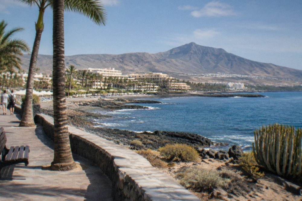 Palm trees and parasols along a seaside promenade in Costa Adeje