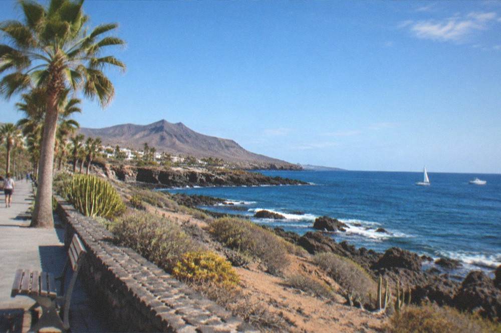 A sunny coastal promenade with palm trees and calm sea in winter