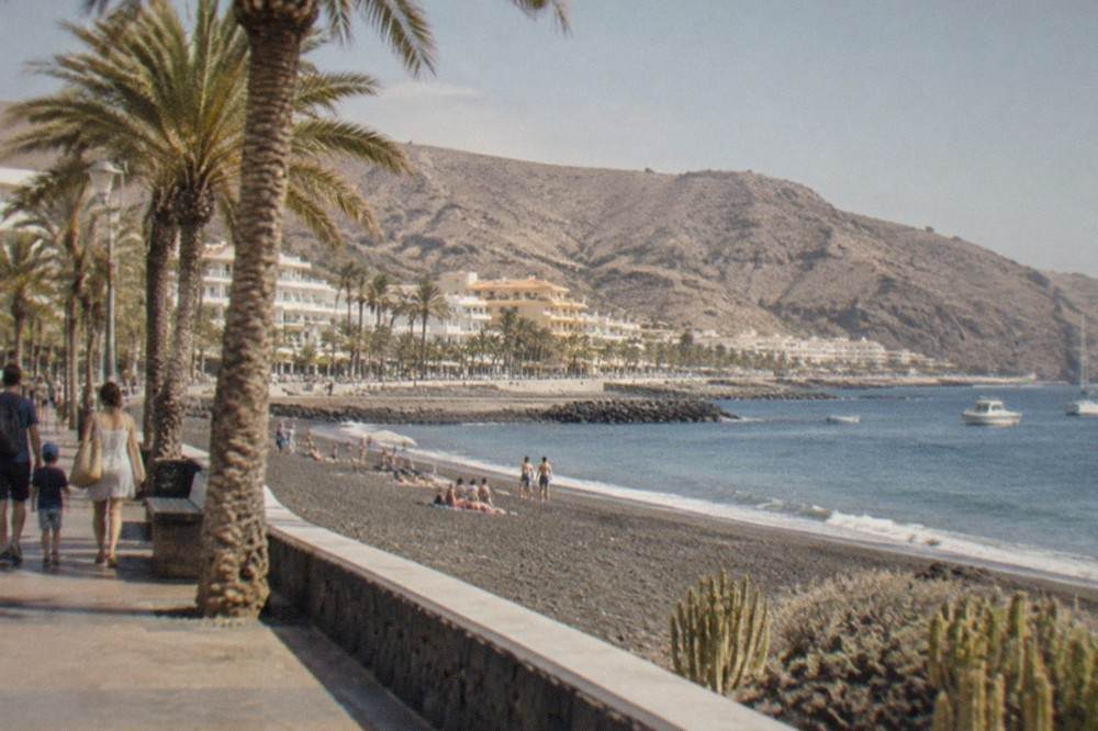Families walking along a promenade with palm trees beside a calm swimming beach
