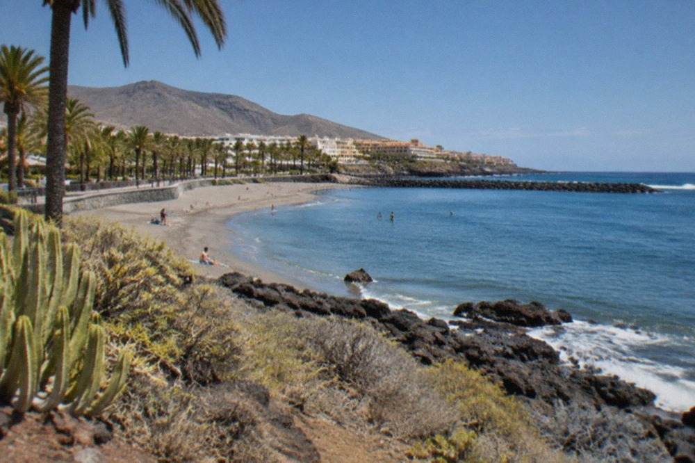 Golden sand beach with palm trees and calm water behind breakwaters