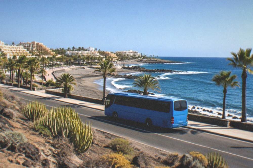 Blue bus on a coastal road with palm trees and the sea beyond