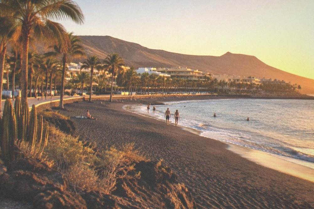 Palm trees and a sandy beach with calm water on the south coast of Tenerife