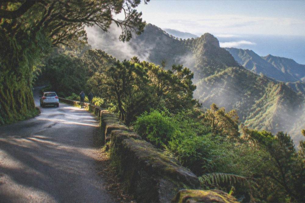 A quiet mountain road through laurel forest in the Anaga hills of Tenerife