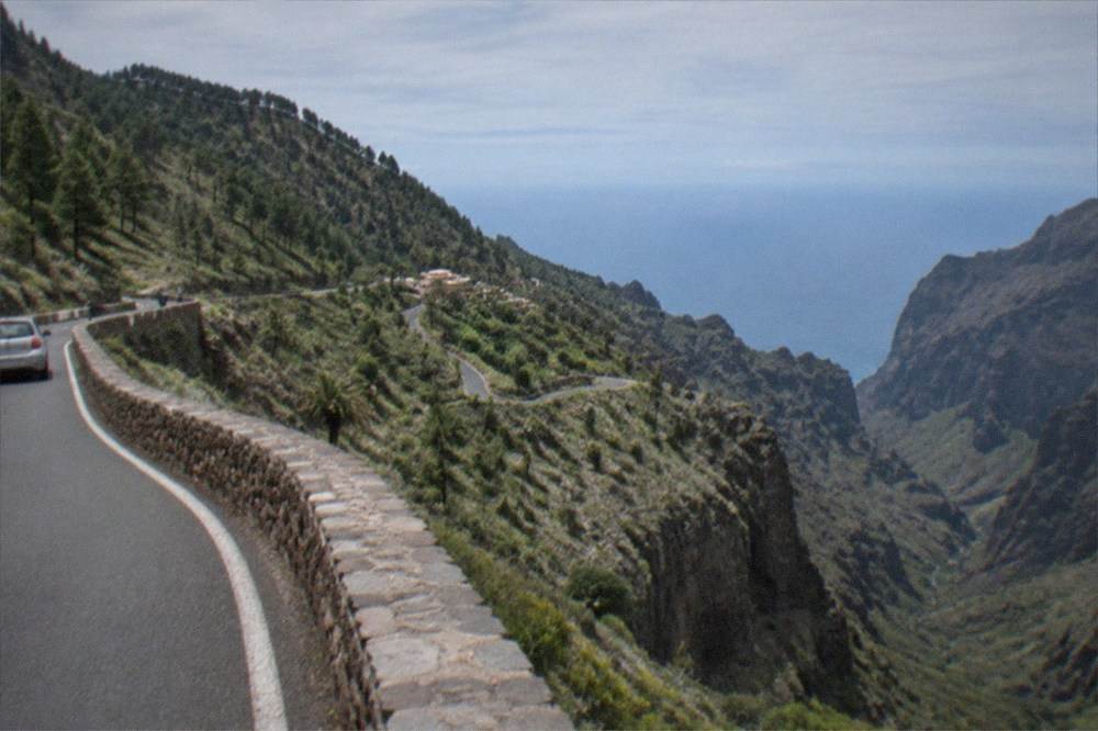 A driver's view along a mountain road with pine forest on the slopes above