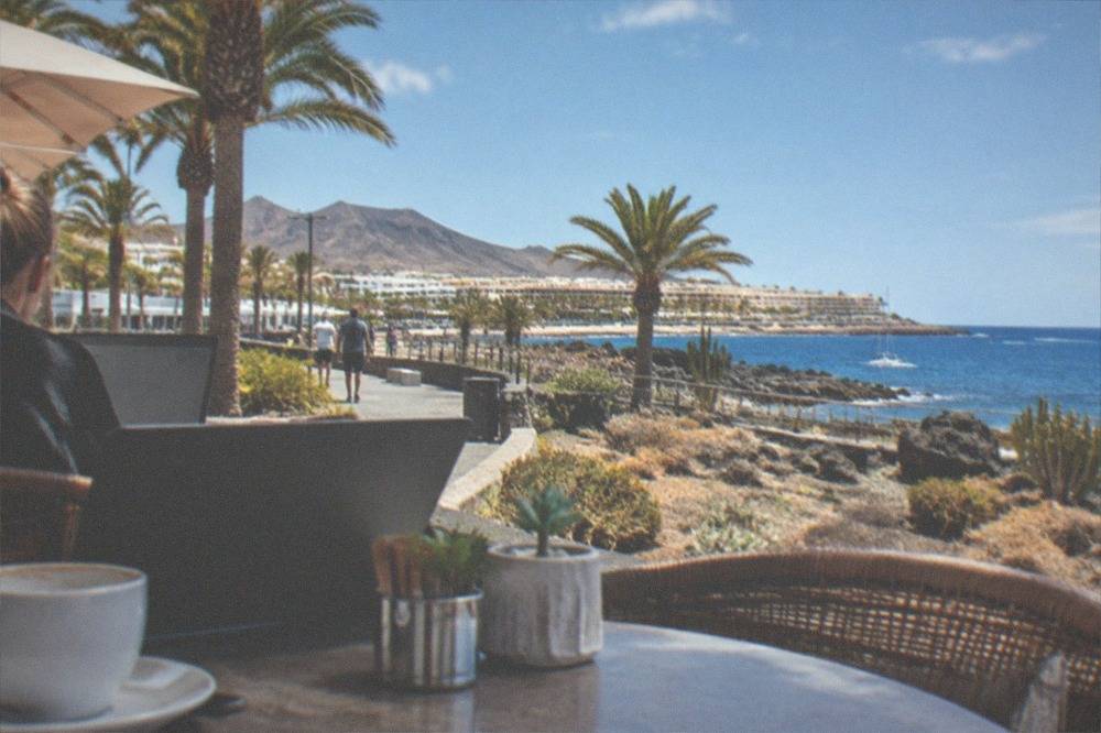 A café terrace with palm trees where a customer uses a laptop at a table