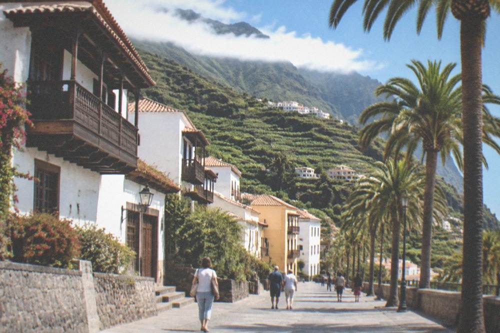 A sunny promenade in Santa Cruz with palm trees and people strolling