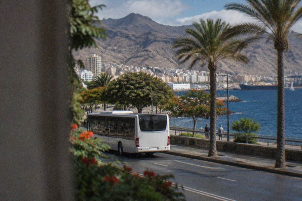 An island bus on a coastal road in South Tenerife with palm trees and the sea behind it