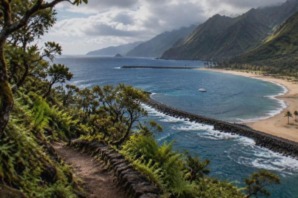 Golden sand beach with palm trees and calm water behind breakwaters in Tenerife