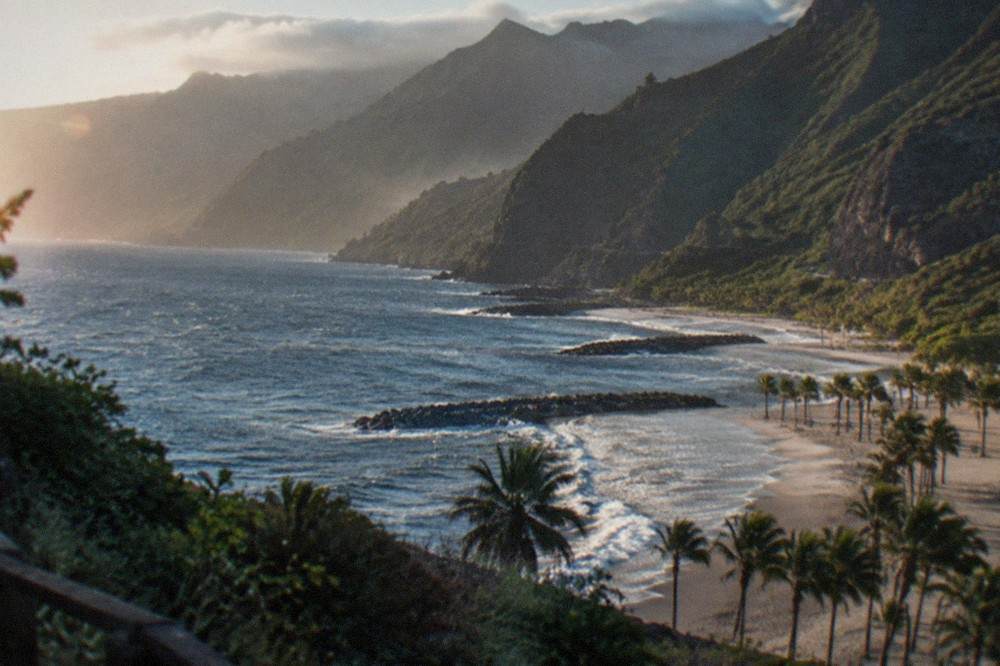 Palm trees lining a golden sand beach with breakwaters visible offshore