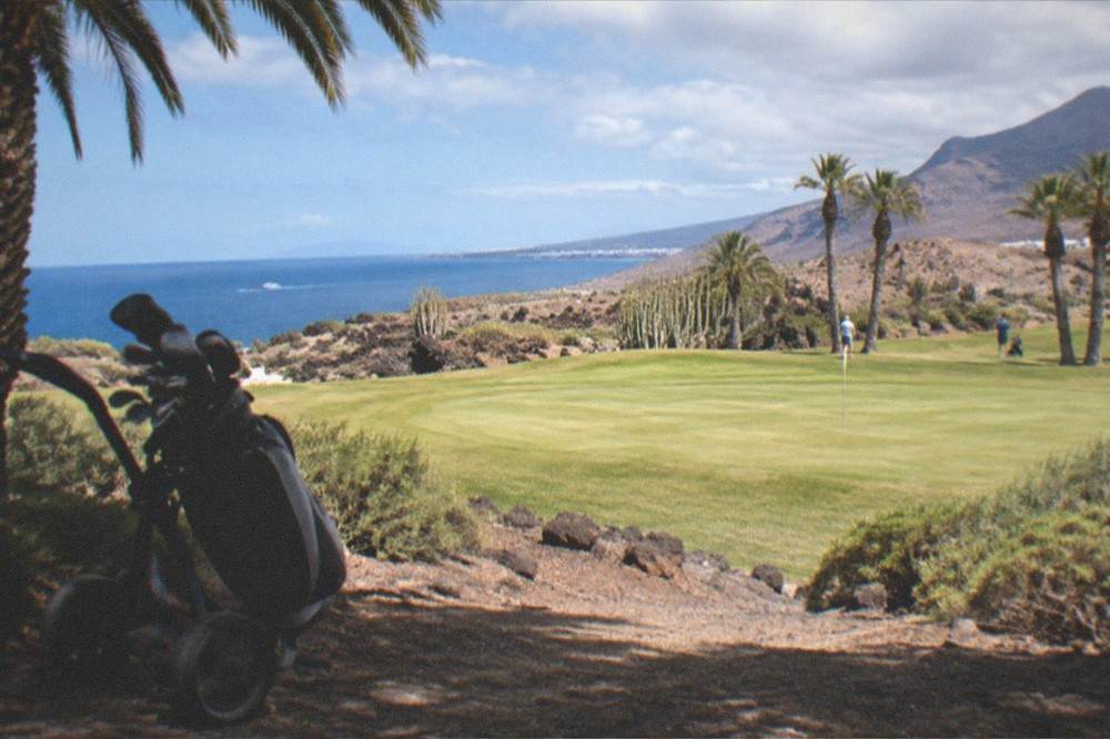 A golf bag and clubs on a trolley beside a green with palm trees
