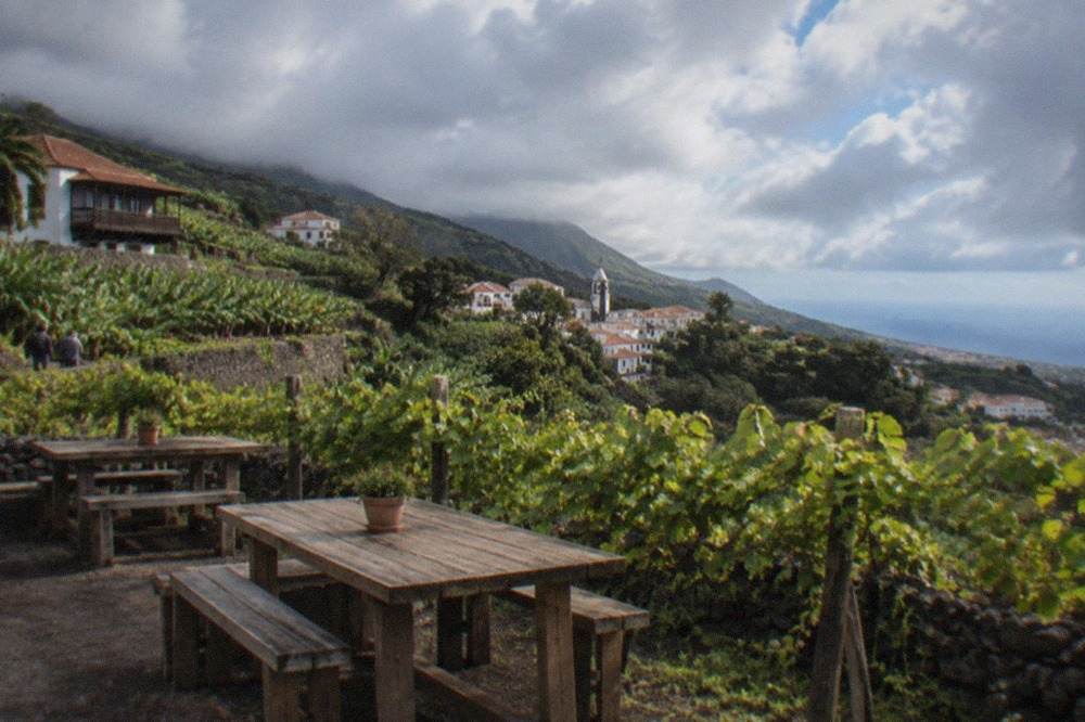 Rustic wooden tables set out beside vines on a hillside in northern Tenerife