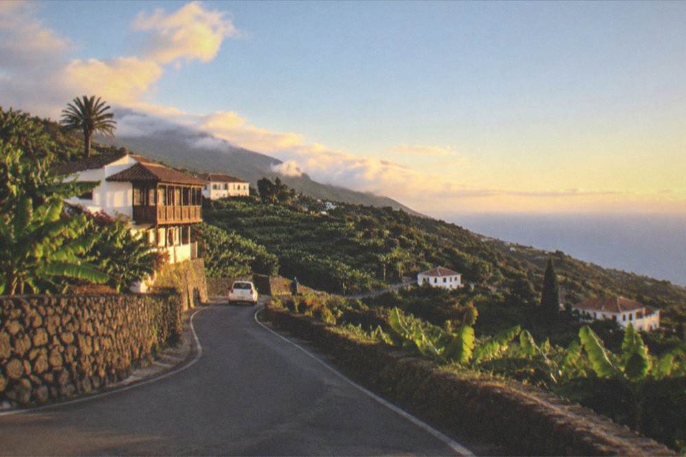 A country road winding between green fields on the slopes of northern Tenerife
