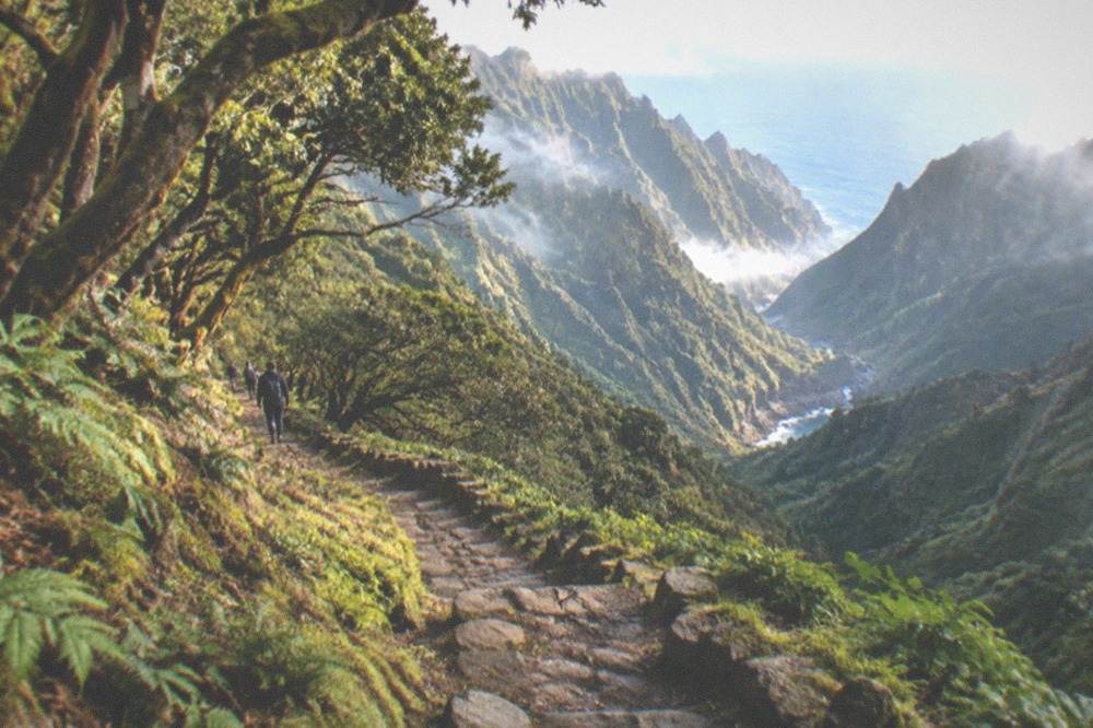 A stone path winding down a steep green gorge toward a small rocky bay and the open sea