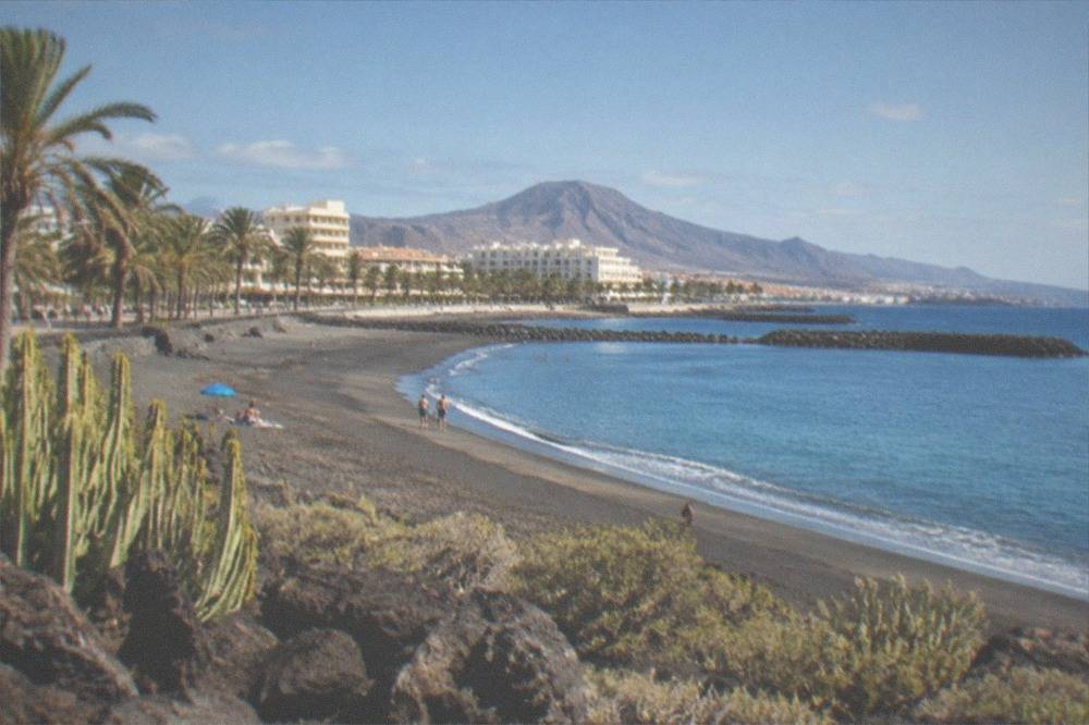 A wide golden-sand beach with palm trees and calm water behind stone breakwaters