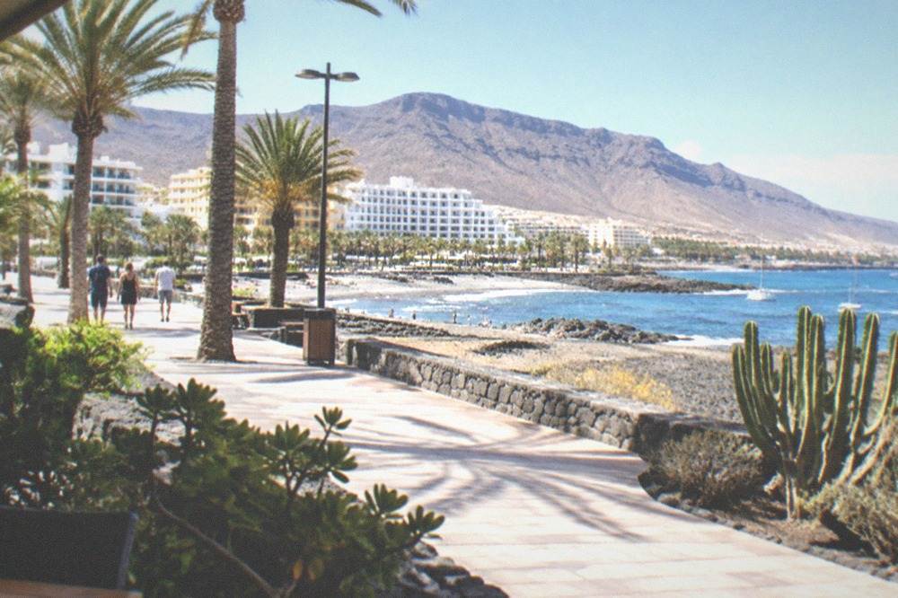 A sunny promenade with palm trees and the sea beyond on a clear warm day