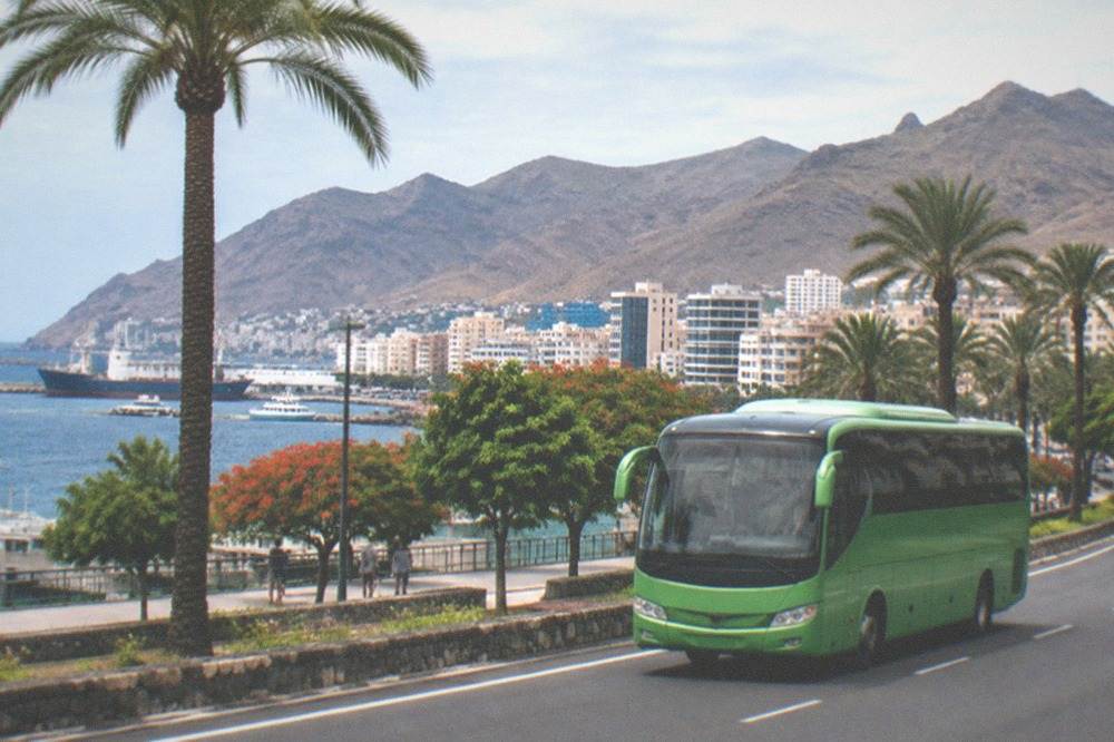 A green island coach on a coastal road with palm trees