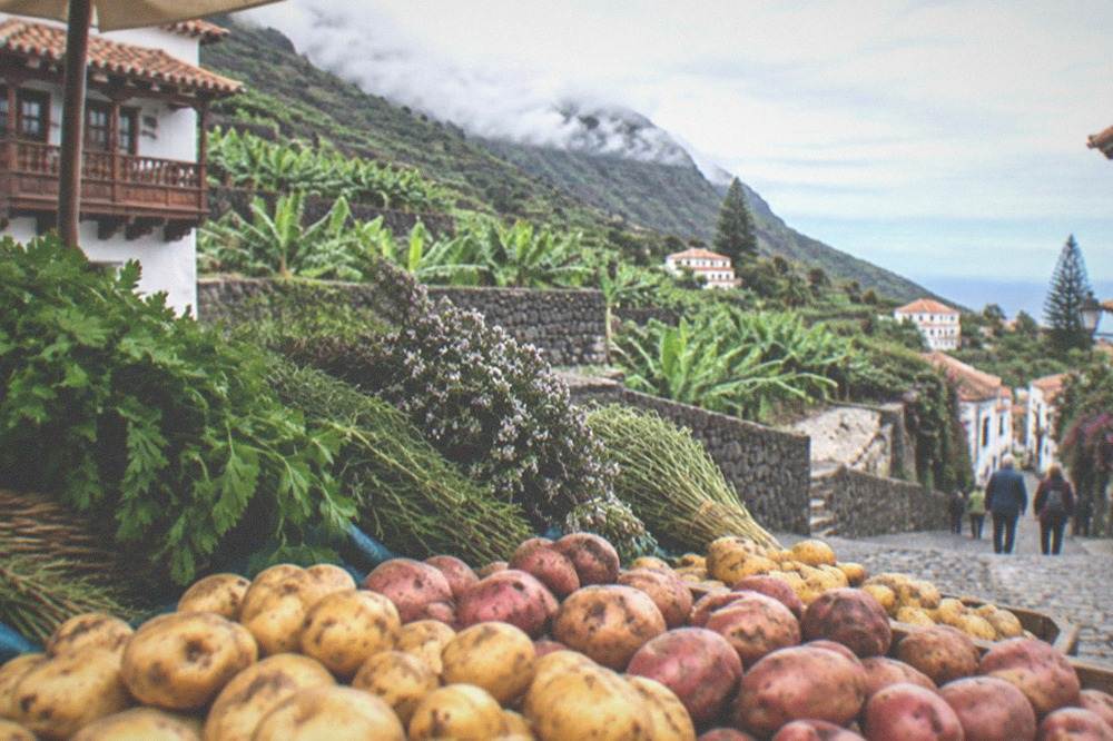 A market stall displaying piles of small potatoes and bunches of herbs