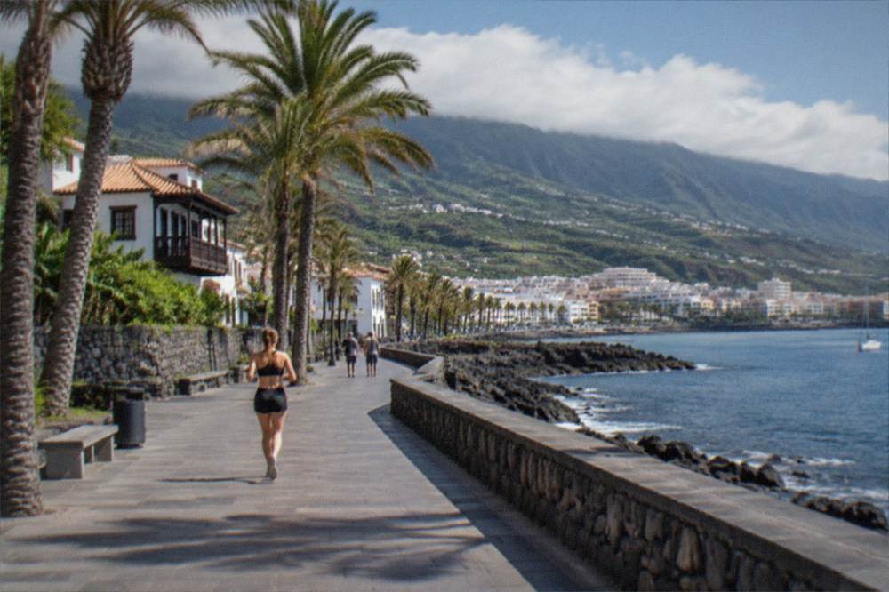 A coastal promenade with palm trees and a calm bay in southern Tenerife at midday