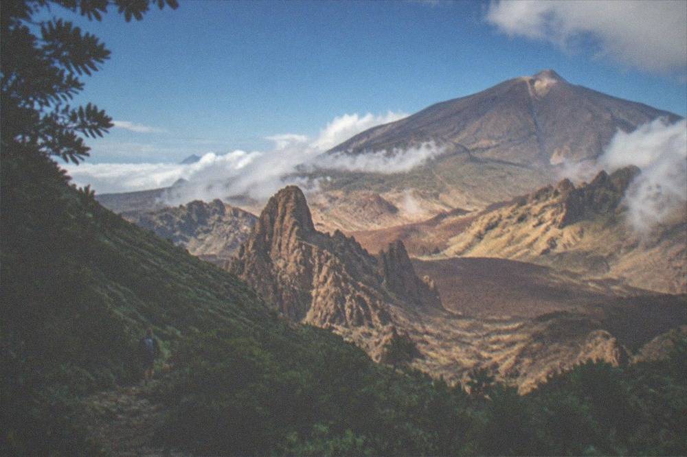 Dense green laurel forest on mountain slopes with low cloud drifting between ridges