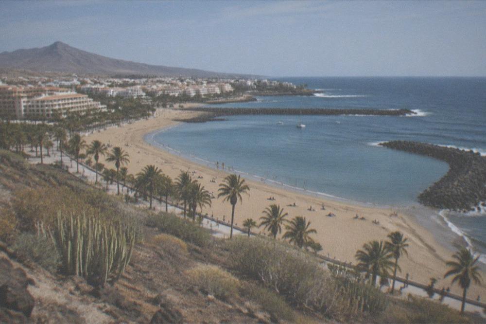 A wide sandy beach at Playa de las Vistas lined with palm trees and calm water behind stone breakwaters