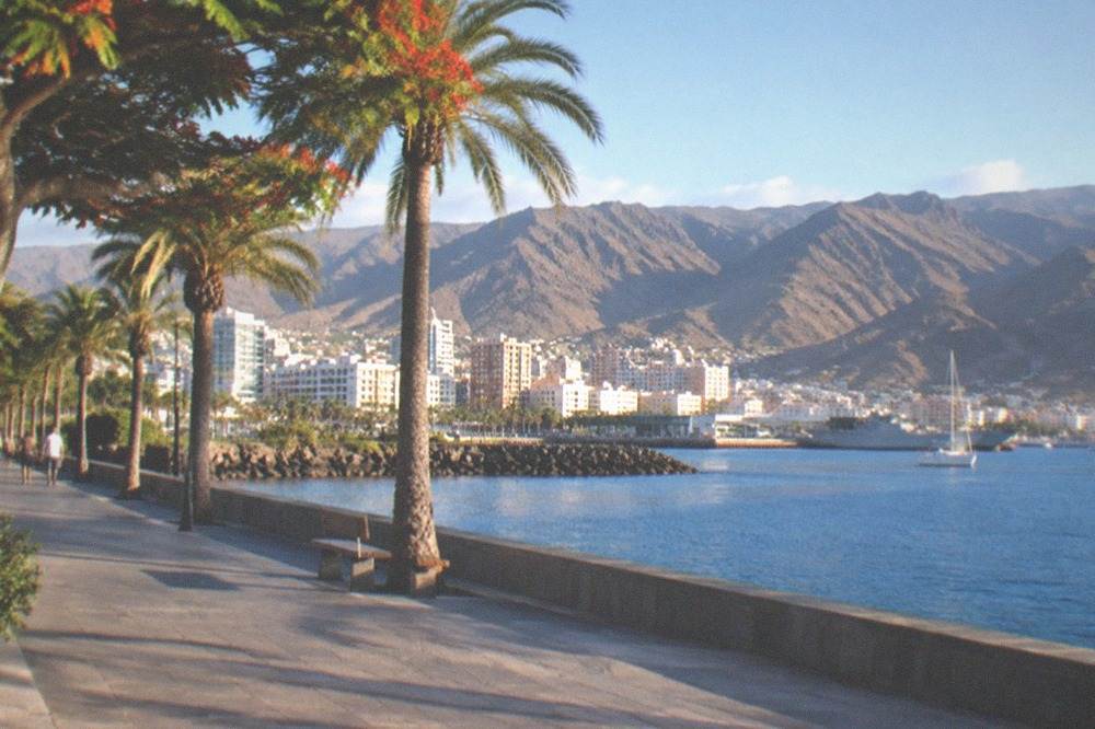 A sunny seafront promenade in Santa Cruz de Tenerife with palm trees and calm water