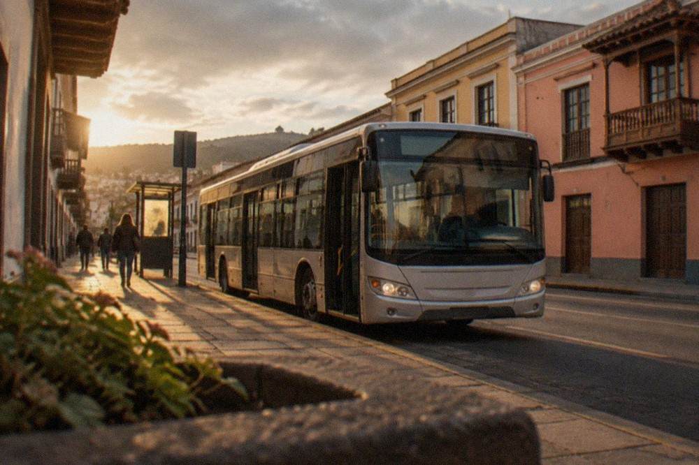 An island bus at a stop on a sunny Tenerife road