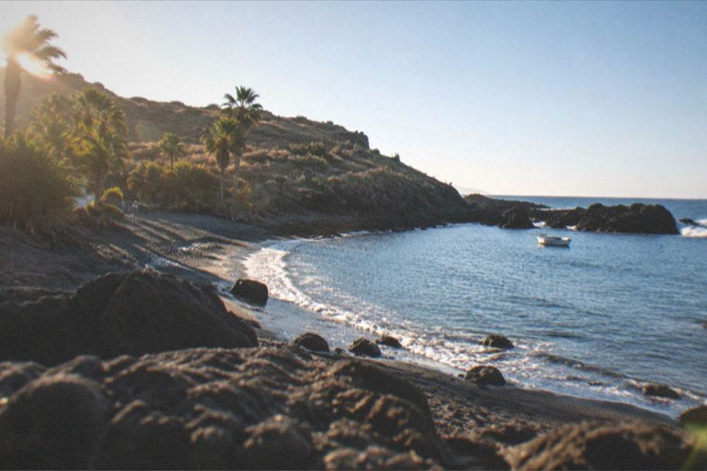 A quiet cove at El Puertito with palms and calm water in the morning