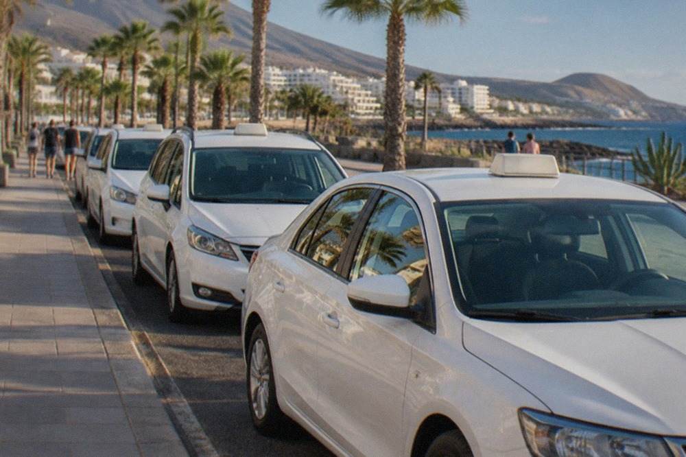 White taxis lined up in a rank beside a palm-lined street in Tenerife