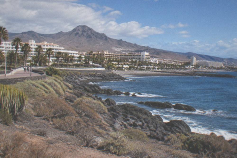 A white taxi rank sign beside a promenade with palm trees in a Tenerife resort