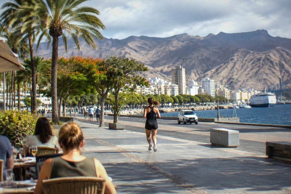 People eating at an outdoor terrace table in sunshine with palm trees behind them