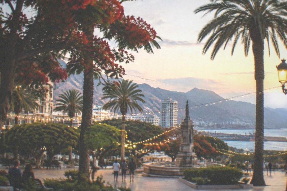 A town square with festive lights and palm trees in the evening