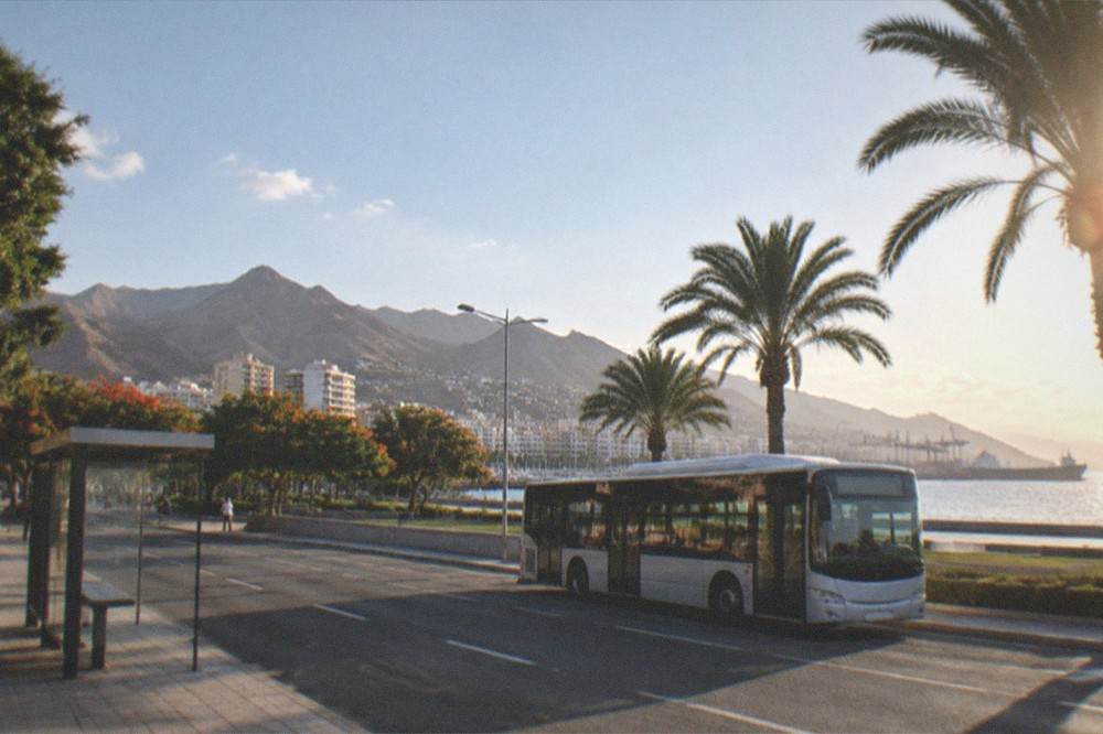 A modern bus at an island roadside stop with palm trees and sunshine