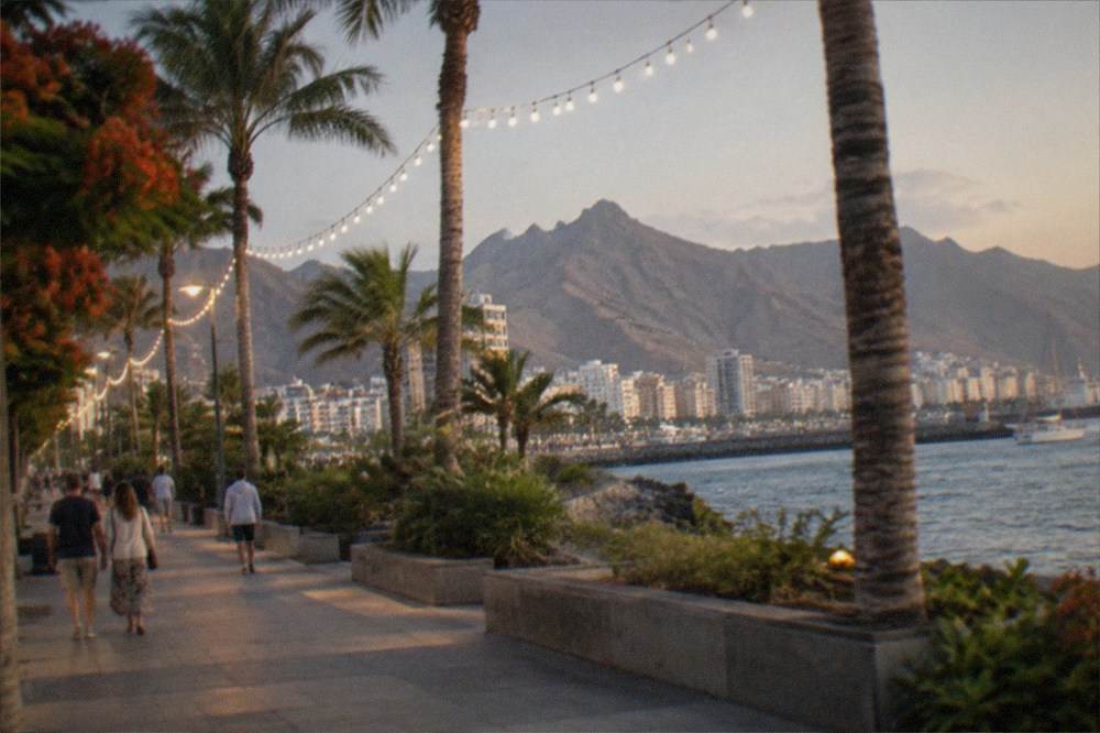 Festive lights strung between palm trees above an evening street with people walking
