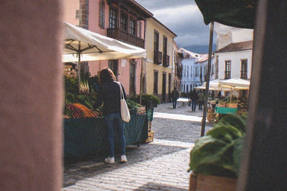 A market stall with vegetables and a shopper holding a canvas bag