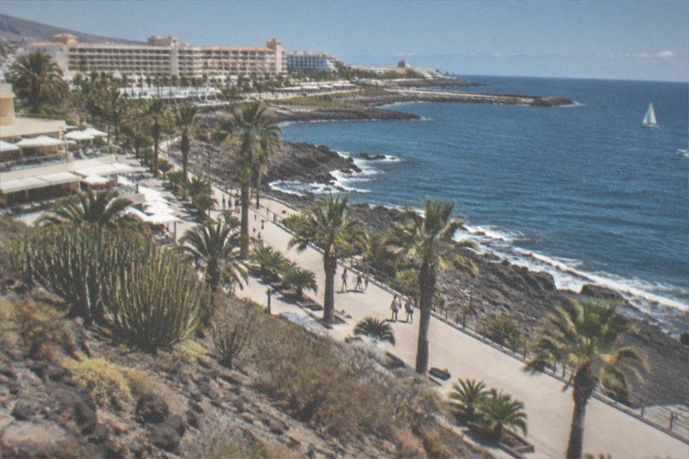 A seafront promenade in south Tenerife with palm trees and restaurants