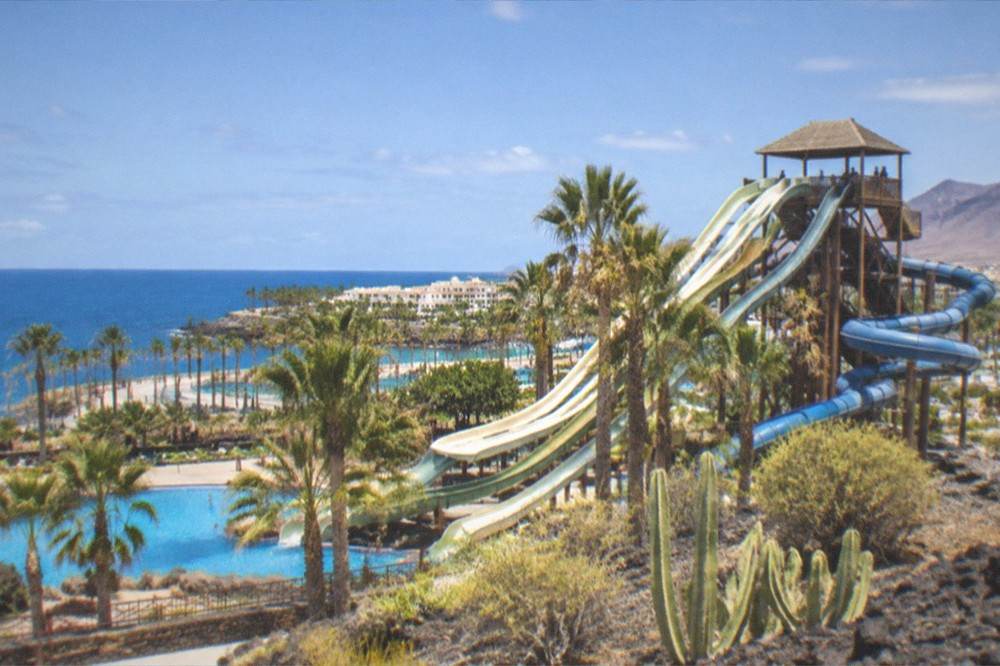 A water slide tower and palm trees in a large water park