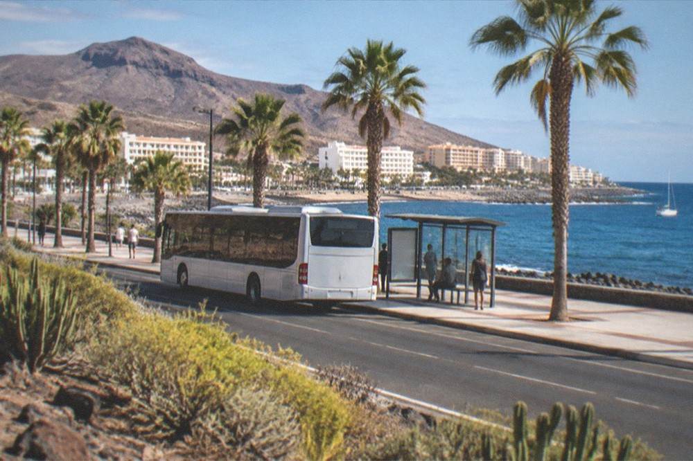A coastal road in Tenerife with a bus stop and palm trees in bright sunlight