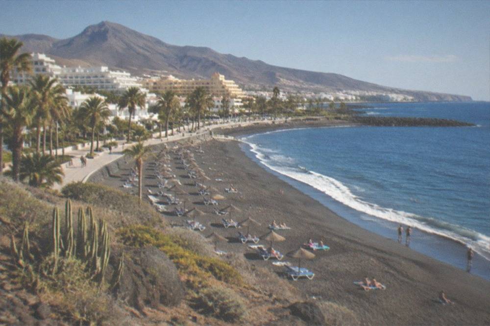 Sun loungers on a palm-lined beach in Tenerife under a clear sky